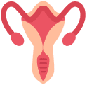 Gynecologist