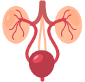 Urologist