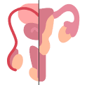 Reproductive Endocrinologist